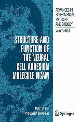 Structure and function the - structure,