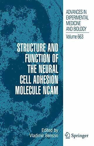Structure and function - and, of